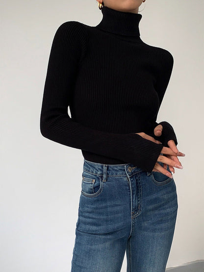 Ivy Ribbed Turtleneck Jumper